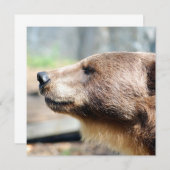 Master Bruin (Vorne/Hinten)