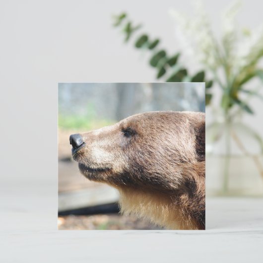 Master Bruin (Stehend Vorderseite)