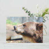 Master Bruin (Stehend Vorderseite)
