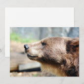 Master Bruin (Vorne/Hinten)