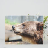 Master Bruin (Stehend Vorderseite)