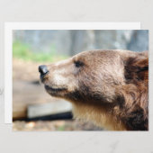 Master Bruin (Vorne/Hinten)