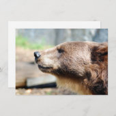 Master Bruin (Vorne/Hinten)