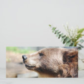 Master Bruin (Stehend Vorderseite)