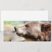 Master Bruin (Vorne/Hinten)