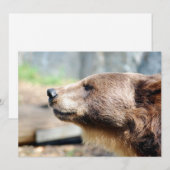 Master Bruin (Vorne/Hinten)