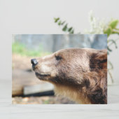 Master Bruin (Stehend Vorderseite)