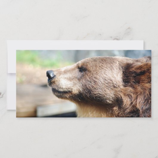 Master Bruin (Vorderseite)