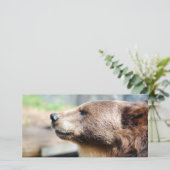 Master Bruin (Stehend Vorderseite)