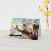 Master Bruin Karte (Gelbe Blume)