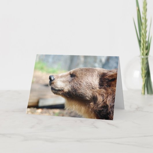 Master Bruin Karte (Vorderseite)