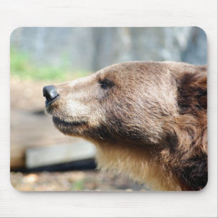 Master Bruin Mousepad