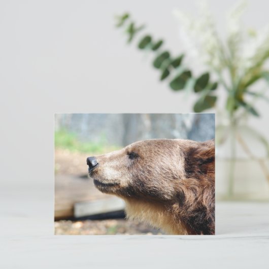 Master Bruin Postkarte (Stehend Vorderseite)