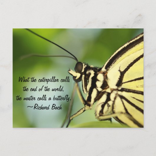 Master-Butterfly-Foto und Zitat Postkarte (Vorderseite)