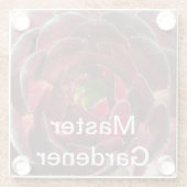 Master Gardener Coastal Pflanze Foto Red Succulent Glasuntersetzer (Rückseite)