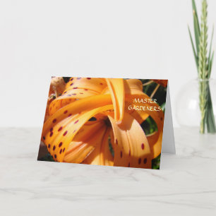 MASTER GARDENER erstellt schöne Weltkarten Feiertagskarte