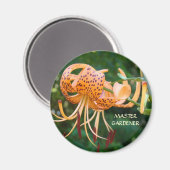 MASTER GARDENER Magnet Orange Tiger Lilies Magnete (Vorderseite/Rückseite)