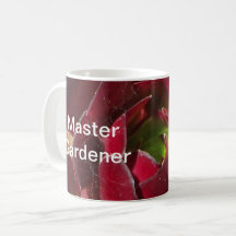 Master Gardener Red Succulent Foto Landscaper