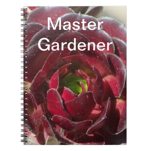 Master Gardener Sukkulentes Foto Wüstengarten Notizblock (Vorderseite)