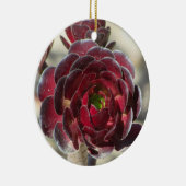 Master Gardener Wüste Landscaper Foto Rote Pflanze Keramik Ornament (Rechts)