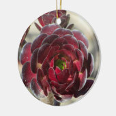 Master Gardener Wüste Landscaper Foto Rote Pflanze Keramik Ornament (Links)