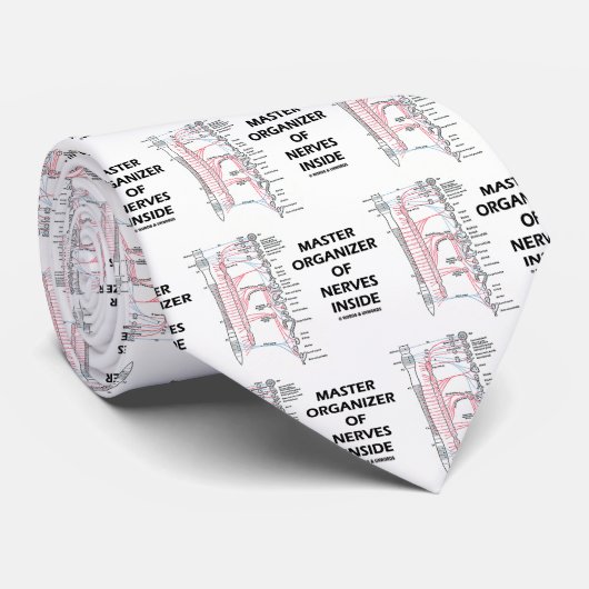 Master-Organisator der Nerven innerhalb (autonom) Krawatte (Gerollt)