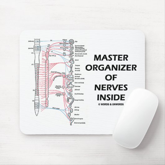 Master-Organisator der Nerven innerhalb (autonom) Mousepad (Mit Mouse)