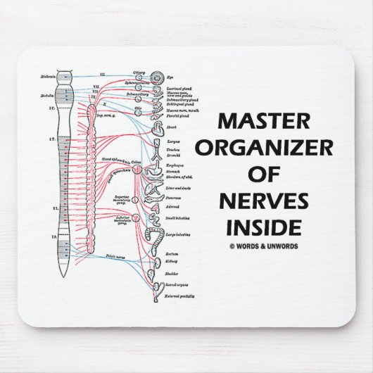 Master-Organisator der Nerven innerhalb (autonom) Mousepad (Vorne)
