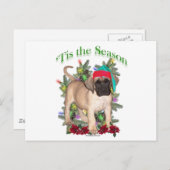 Mastiff 2 "Tis Feiertagspostkarte (Vorne/Hinten)