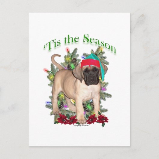 Mastiff 2 "Tis Postkarte (Vorderseite)