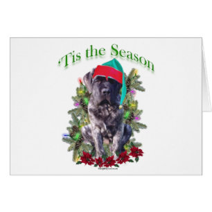 Mastiff 3 "Tis