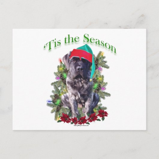 Mastiff 3 "Tis Postkarte (Vorderseite)