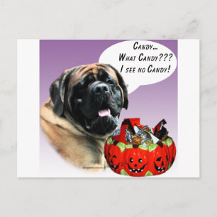 Mastiff (Aprikose) Halloween Candy Postkarte