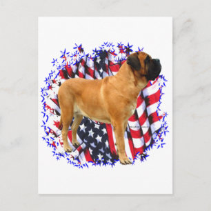 Mastiff (Aprikose) Patriot Postkarte