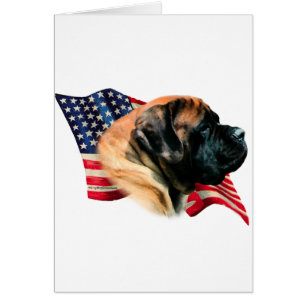 Mastiff (Aprikosenflagge)