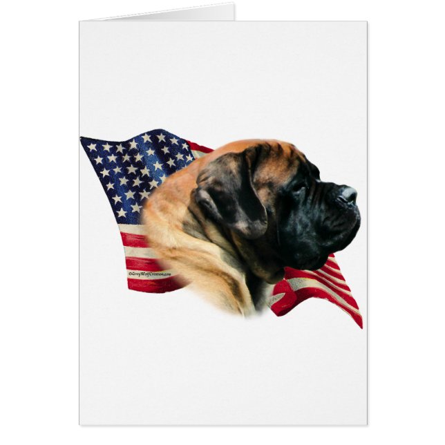 Mastiff (Aprikosenflagge) (Vorne)