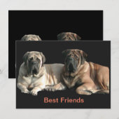 Mastiff Best Friends  Einladung (Vorne/Hinten)