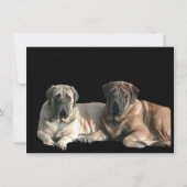 Mastiff Best Friends  Einladung (Rückseite)