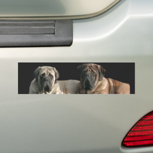 Mastiff beste Freunde Autoaufkleber