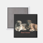 Mastiff beste Freunde Magnet (Vorderseite/Rückseite)