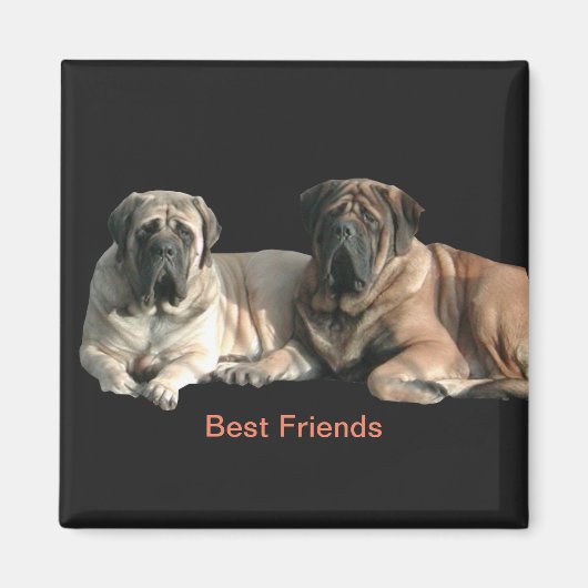 Mastiff beste Freunde Magnet (Vorne)