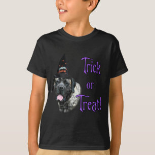 Mastiff (Bindle) Trick T-Shirt