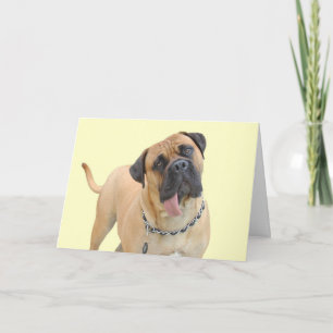 Mastiff Birthday Card by Focus for a Ursache Karte