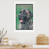 Mastiff Brindle Poster (Küche)