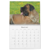 Mastiff Calendar Kalender (Mär 2027)