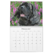 Mastiff Calendar Kalender (Feb 2027)