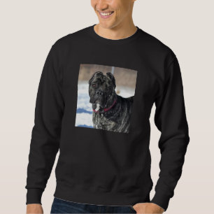 MASTIFF/CANE CORSO MÄNNER-SCHNITT SWEATSHIRT