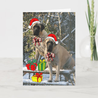 Mastiff Christmas Card Feiertagskarte