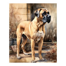 Mastiff Dog Art Print Poster
