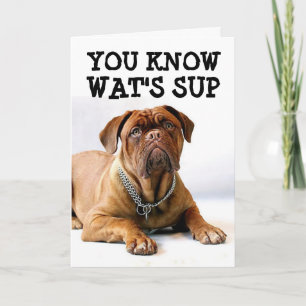 MASTIFF DOG BIRTHDAY FUNNY CARD KARTE